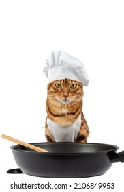 2,790 Cat pan Images, Stock Photos & Vectors | Shutterstock