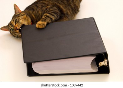 Cat Chewing Notebook.