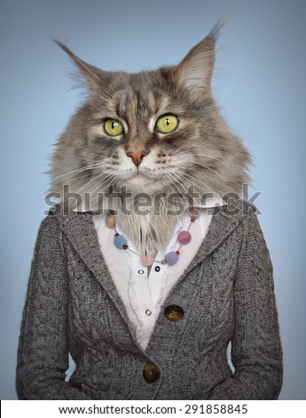 cat in clothes