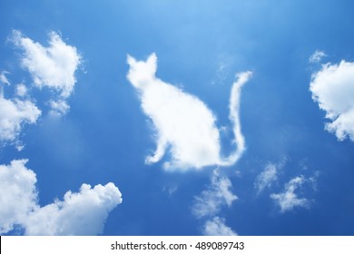 Cat Cloud Shape On Sky.