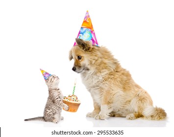 Cat Congratulates Dog On His Birthday. Isolated On White Background