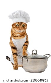 6,915 Cat cook Images, Stock Photos & Vectors | Shutterstock