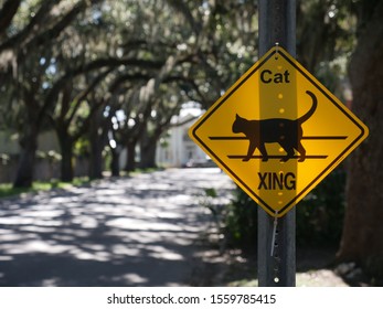 Beware of Cat Crossing Xing Sign New
