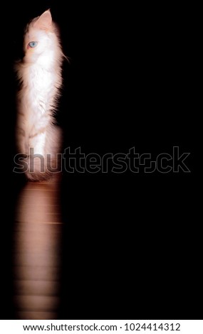 Similar – Image, Stock Photo Five more minutes…