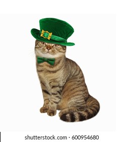 The Cat In Disguise For St. Patrick's Day. White Background.