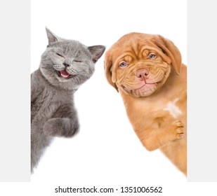 Cat And Dog Behind White Empty Banner. Isolated On White Background