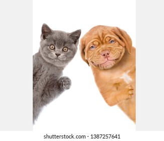 Cat And Dog Behind White Empty Banner. Isolated On White Background