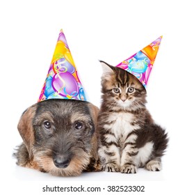 Cat And Dog In Birthday Hats Looking At Camera Together. Isolated On White Background