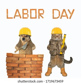The Cat And The Dog Are Construction Workers In Yellow Helmets. They Are Laying Red Bricks To Make A Wall. Labor Day. White Background. Isolated.