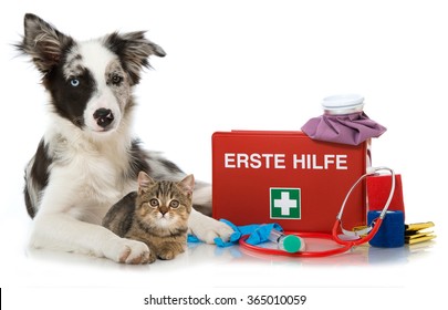 Cat And Dog With First Aid Kit