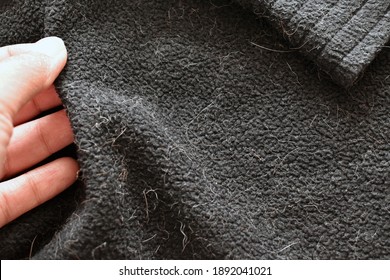 Cat Or Dog Hair On Jumper.  Concept Of How To Remove Pet Hair On Clothes Or Fabric.