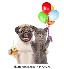 Dog Cat Happy Birthday Images Stock Photos Vectors Shutterstock