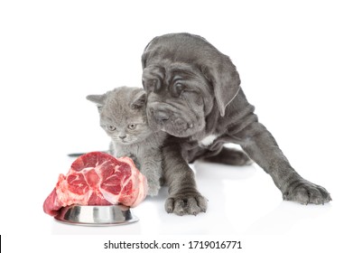 Cat And Dog Looks At Raw Meat. Isolated On White Background