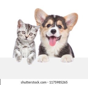 Cat And Dog Peeking Behind Empty White Board. Isolated On White Background. Space For Text