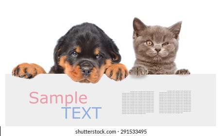 Cat And Dog Peeking From Behind Empty Board And Looking At Camera. Isolated On White Background