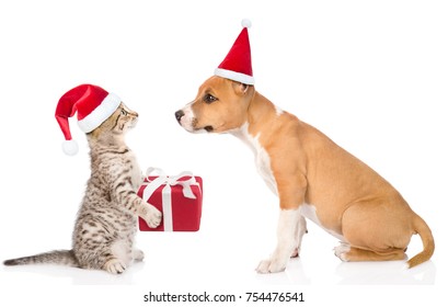 Cat and dog in red christmas hats exchange gifts. isolated on white background