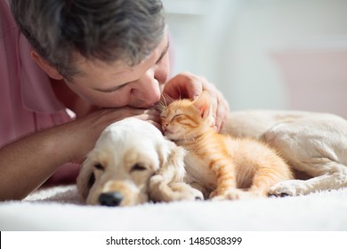 Cat and dog sleeping together next to a man. Kitten and puppy taking nap with owner. Home pets. Animal care. Love and friendship. Domestic animals.