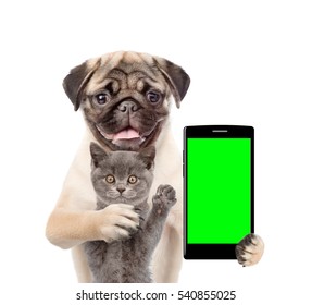 Cat and dog with smartphone. Isolated on white background - Powered by Shutterstock