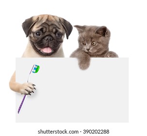 Cat And Dog With A Toothbrush Peeking From Behind Empty Board. Isolated On White Background