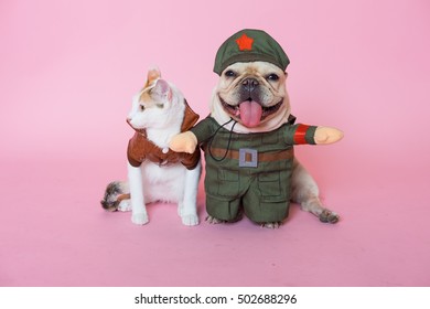 Cat And Dog Wearing A  Costume On Isolated  Pink Background.
Hallowen  Concept.