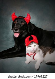 Cat And Dog Wearing Devil Halloween Costumes