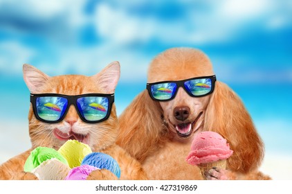 Cat And Dog Wearing Sunglasses Relaxing In The Sea Background. Red Cat And Dog Eats Ice Cream.