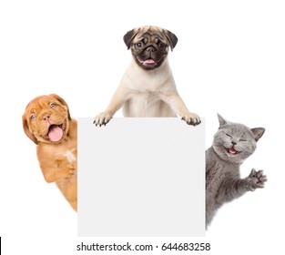 Cat and Dogs peeking above white banner. isolated on white background