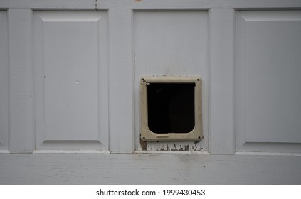 Cat Door In Garage Urban Garage Door With Feline Escape Hatch Geometric Shapes On White Overhead Exterior Home Garage Door Square In Three Rectangles Small Black Hole Entrance Or Tunnel 