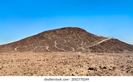 The Cat Drawing At Nazca In Peru