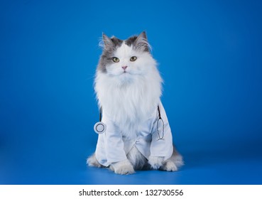 Cat Dressed As Doctor On A Blue Background