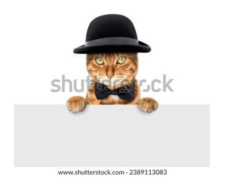 A cat dressed in a hat and bow tie holds a blank banner. Copy space.
