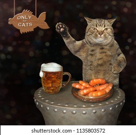 The Cat Is Drinking Beer And Eating Shrimp In The Bar.