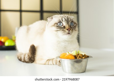 Cat Eating Cake From A Bowl