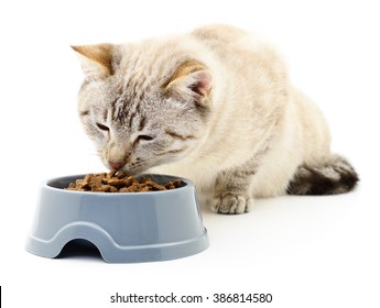 Cat Eating Dry Food On White Background.