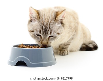 Cat Eating Dry Food On White Background.