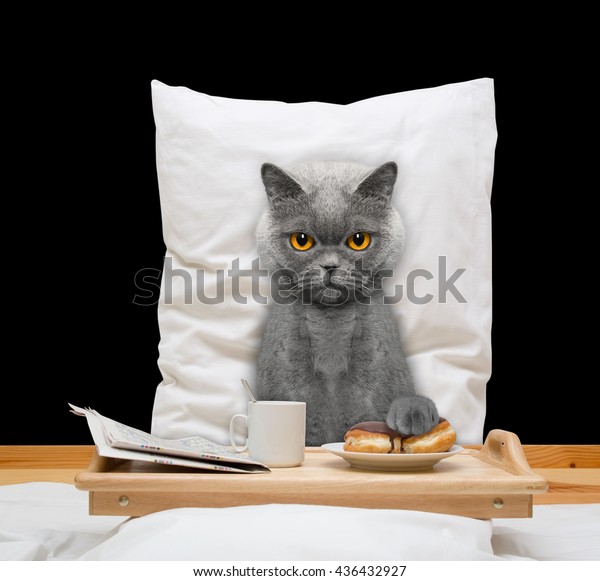 Cat Eats Bed Drink Isolated On Stock Photo Edit Now 436432927