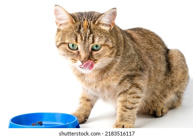 21,761 Eating serious Images, Stock Photos & Vectors | Shutterstock