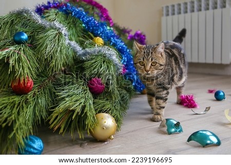 The cat filled up the Christmas tree for the New Year. Christmas tree toys were broken.