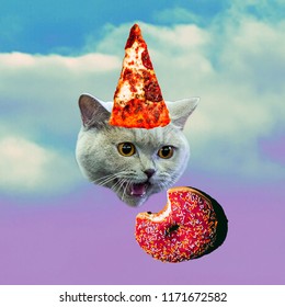 Cat and food. Contemporary art collage. Funny Fast food minimal project