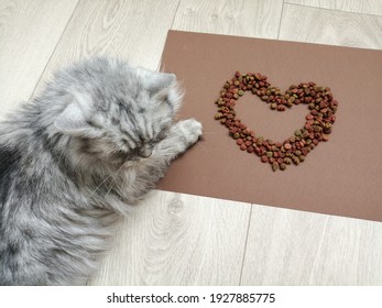 Cat Food Heart Shaped Love Pet Concept