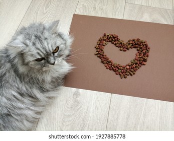 Cat Food Heart Shaped Love Pet Concept