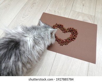 Cat Food Heart Shaped Love Pet Concept