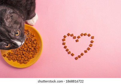 Cat Food Is Laid Out In The Form Of A Heart, On A Pink Background. 