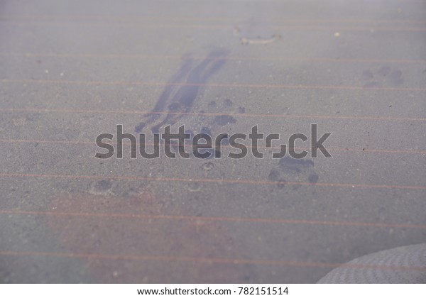Cat footprints on a\
dirty car, solf focus