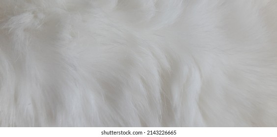 Cat Fur Texture Pattern Background, Natural Long Hair Fur Texture Top View, White Clean Wool, Light Natural Sheep Wool Cotton Texture of Fluffy Fur, Close-up Fragment White Wool Carpet Sheepskin - Shutterstock ID 2143226665