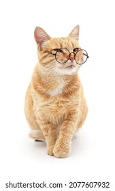 Cat With Glasses Isolated On A White Background.