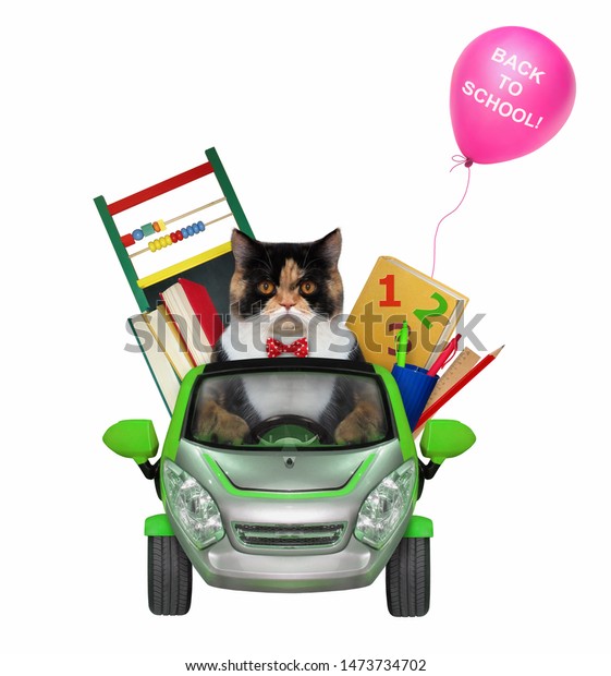 The cat goes\
to school by car. There are a lot of school supplies in this\
cabriolet. White background.\
Isolated.