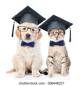 Cat and Golden retriever puppy with black graduation hats and eyeglasses sitting together. isolated on white background