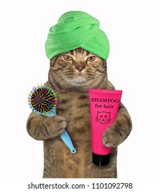 The cat with a green towel around his head is holding a massage comb and shampoo. White background.