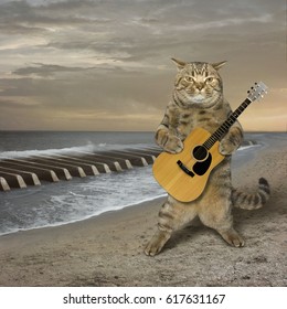 The cat with a guitar is on a deserted beach. The sea waves look like piano keys.